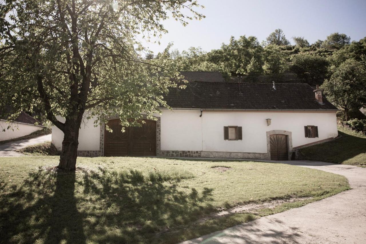 Ferienwohnung Am Weingut Eisenbock Strass  Eksteriør bilde