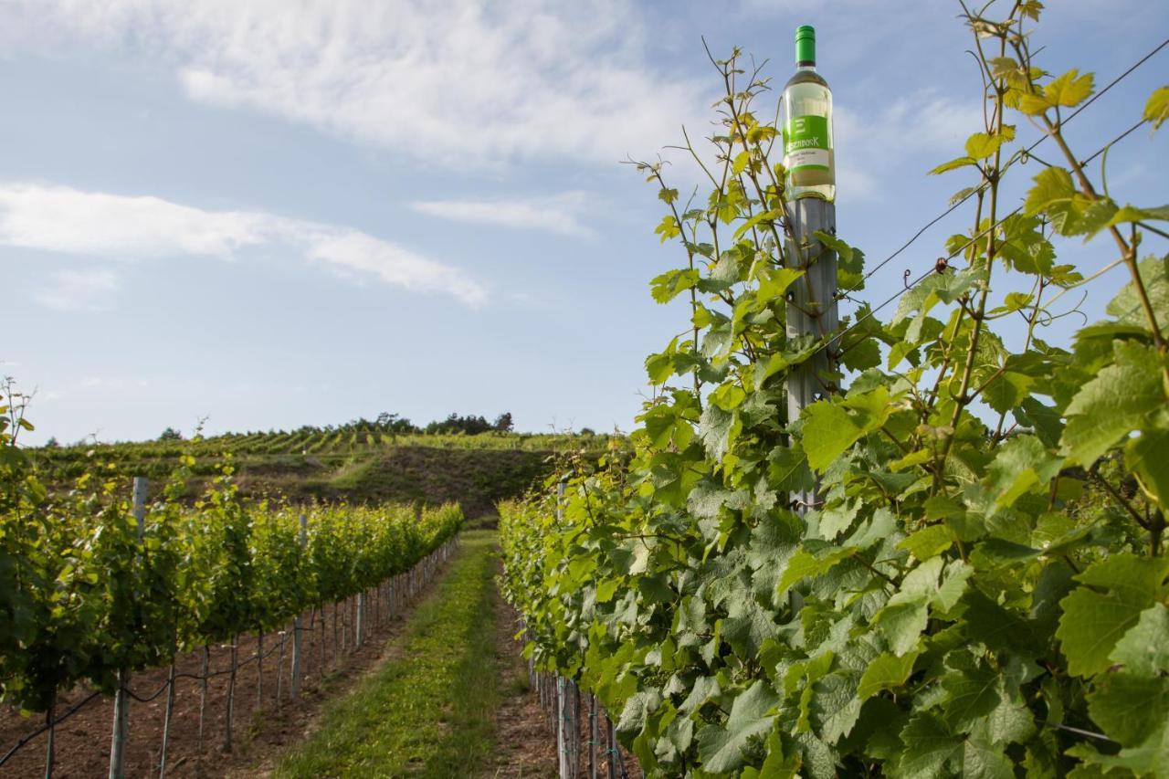 Ferienwohnung Am Weingut Eisenbock Strass  Eksteriør bilde